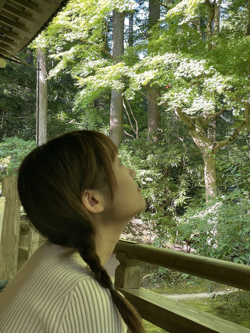 Thumb a4f83986 3728 4093 8791 1401ef11bc78