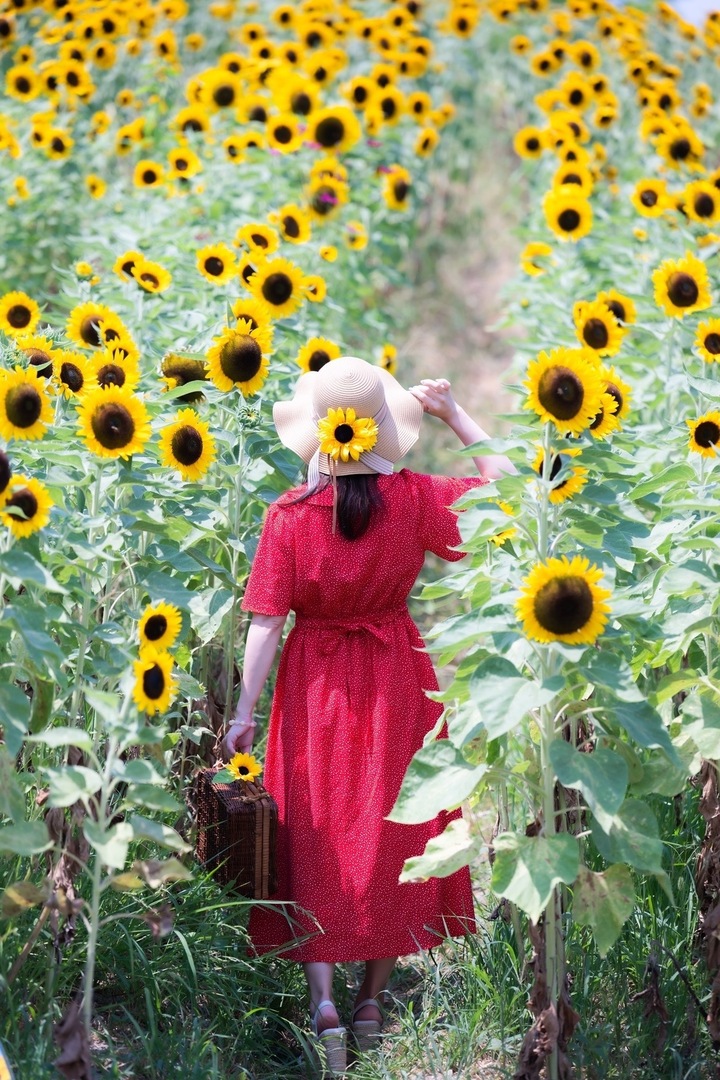 Thumb 22d5a5c6 d5cb 45f7 94ed 61e5207b2afe