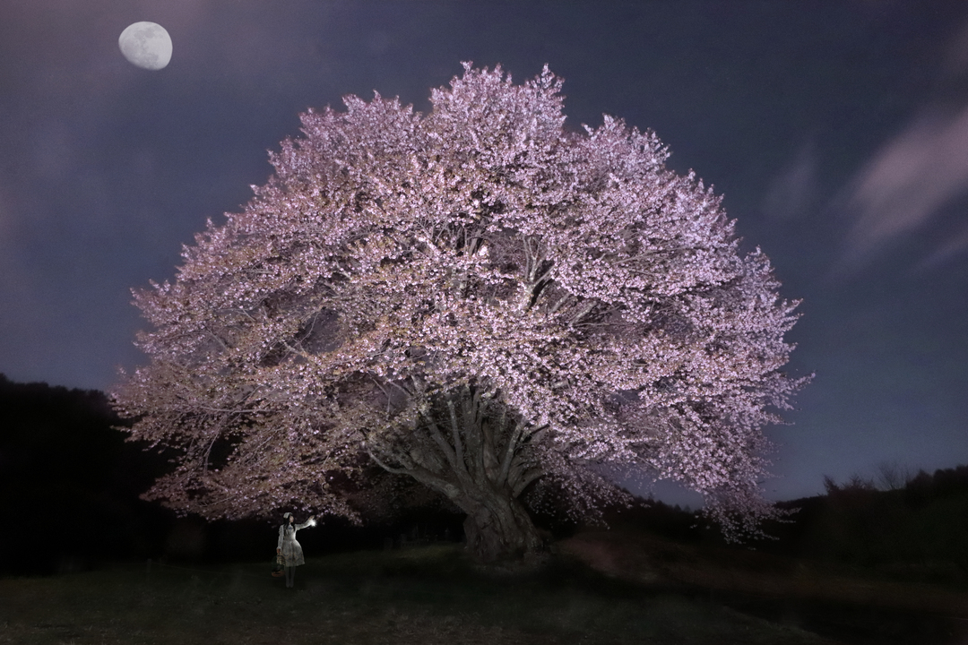 Thumb 2e36d345 16e2 4bf4 9ca4 61e90f03ef17