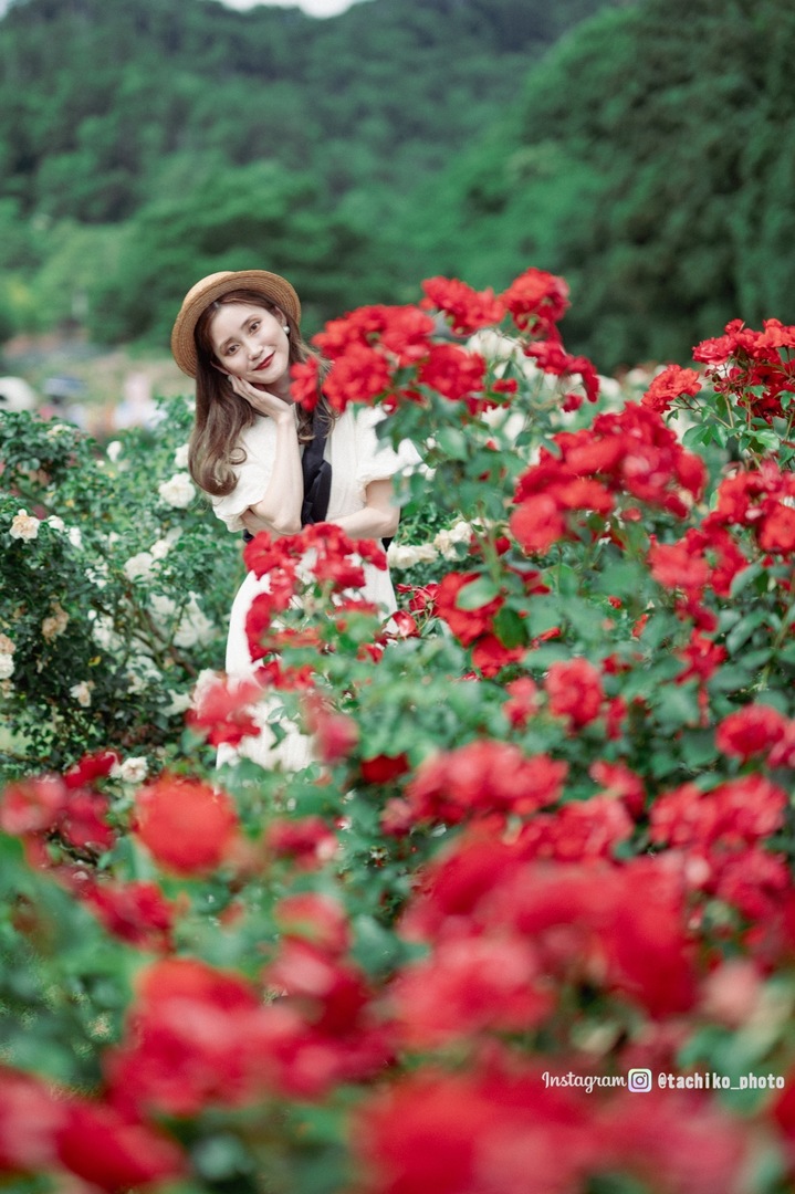 Thumb 2e0b65e5 6214 4cde a579 4402f2151a12