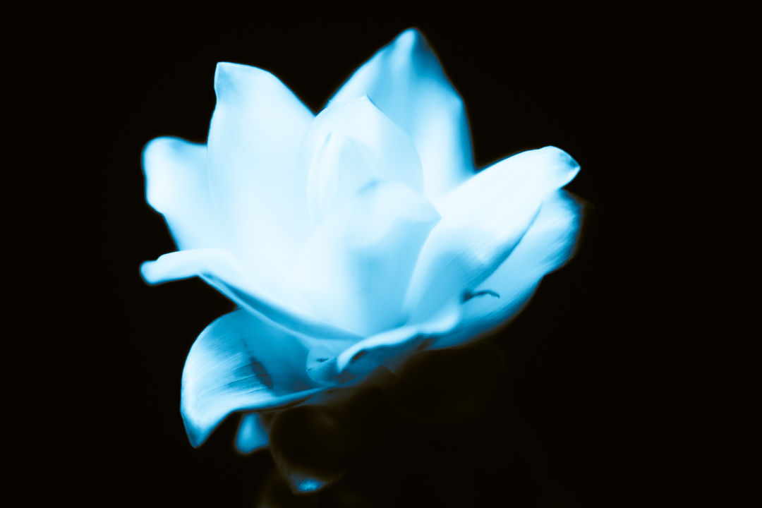 Thumb f8403f6c 0ea2 4043 ae37 b3bf9bcb8bfa