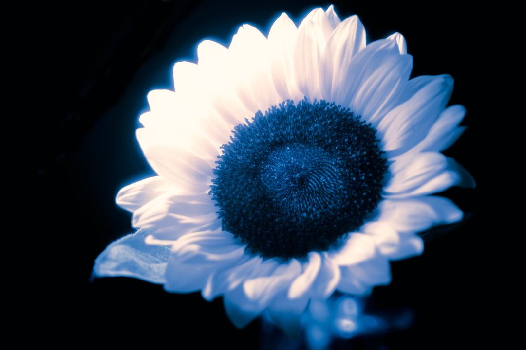 Thumb a49c4943 5eb5 4511 bb42 52d157eafc8f