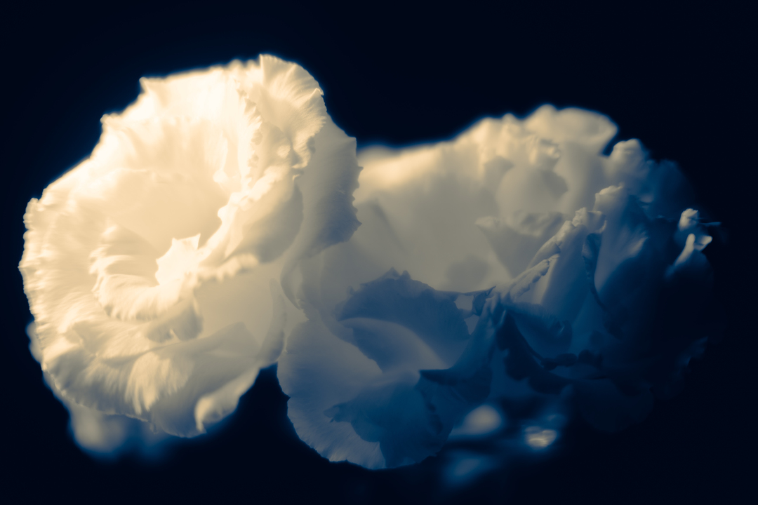 Thumb 822977d7 31b7 42ca 8465 9af82f1d09a3