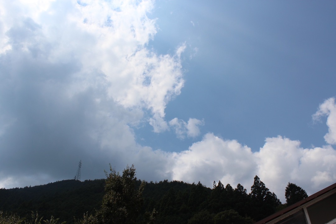 Thumb ee2c84a6 2b25 479a adbe 2c100f71b2a8