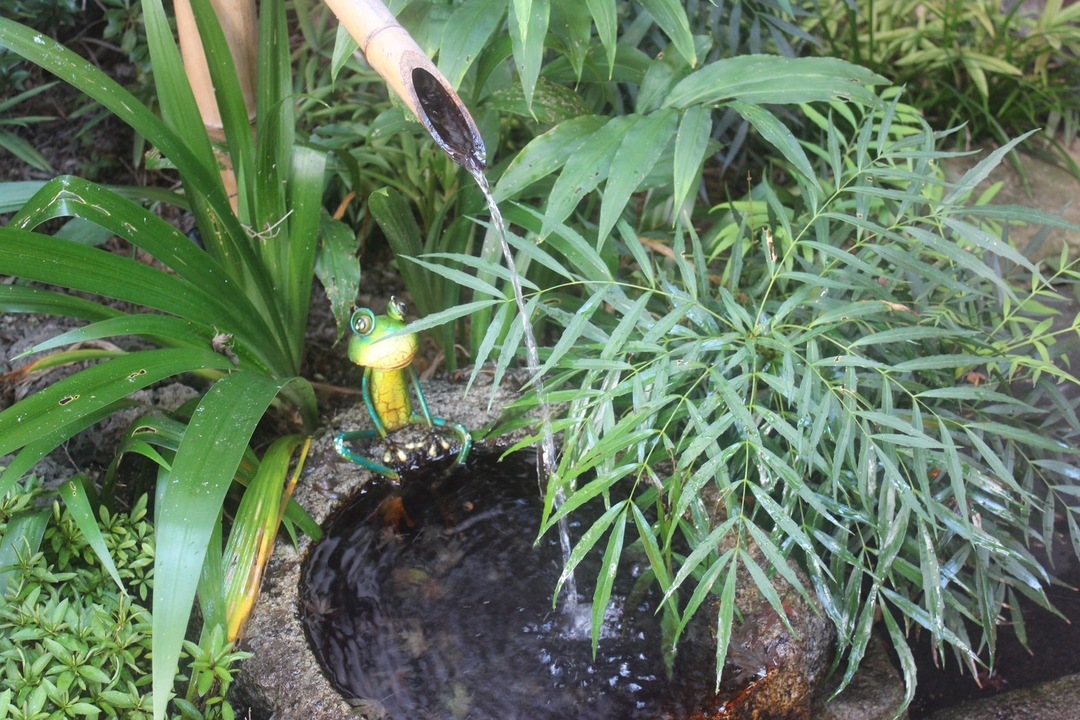 Thumb 23d81781 1d11 421a a5bd cf2709fce4a0