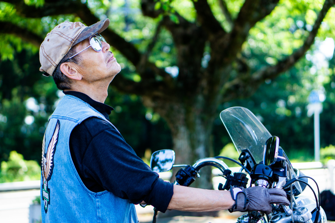 Thumb 636db2a6 dd13 4812 b5ba 7c851c32a76a