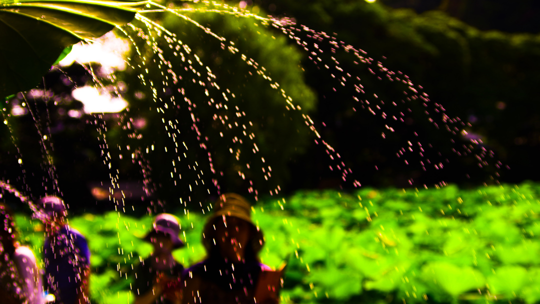 Thumb a3e651ef d5ca 4340 9127 b6f021ecc307