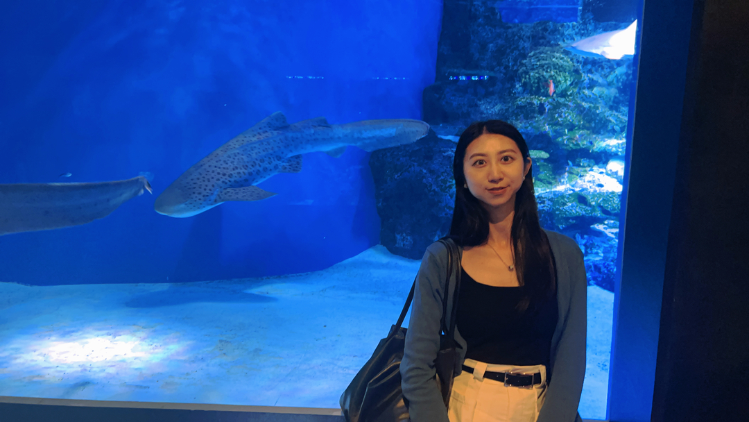 Thumb ec283bdc fc46 41ee a01a 0ca6bdbfef7c