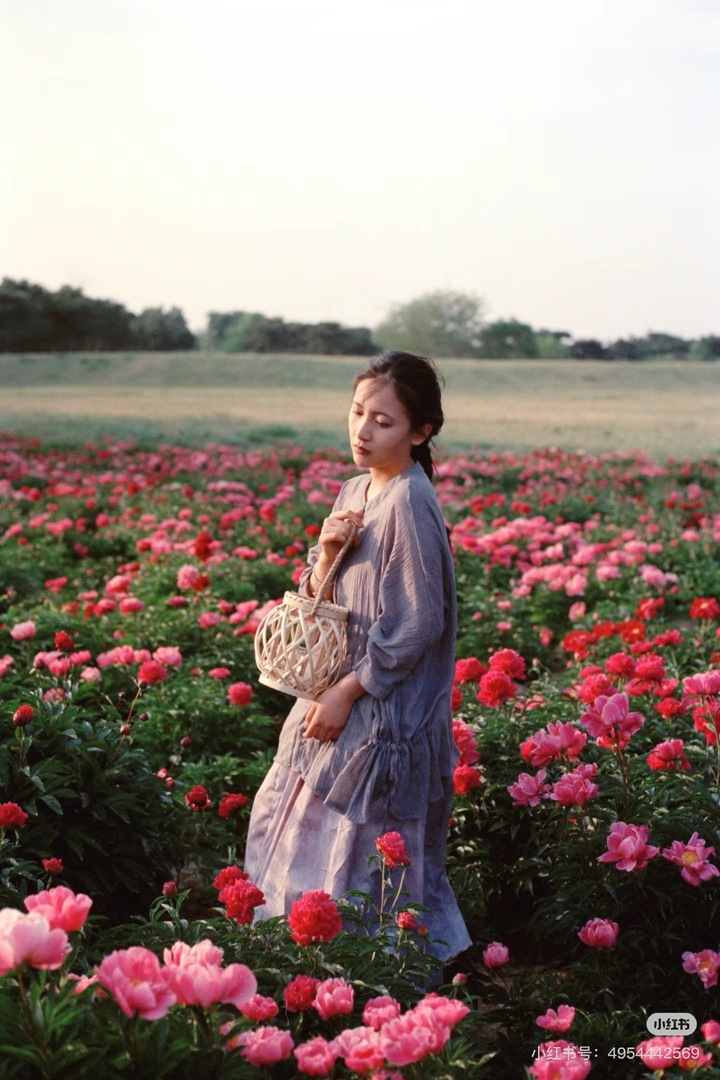 Thumb 27660e52 8c01 4ab5 a4db 3f46cf8c869a