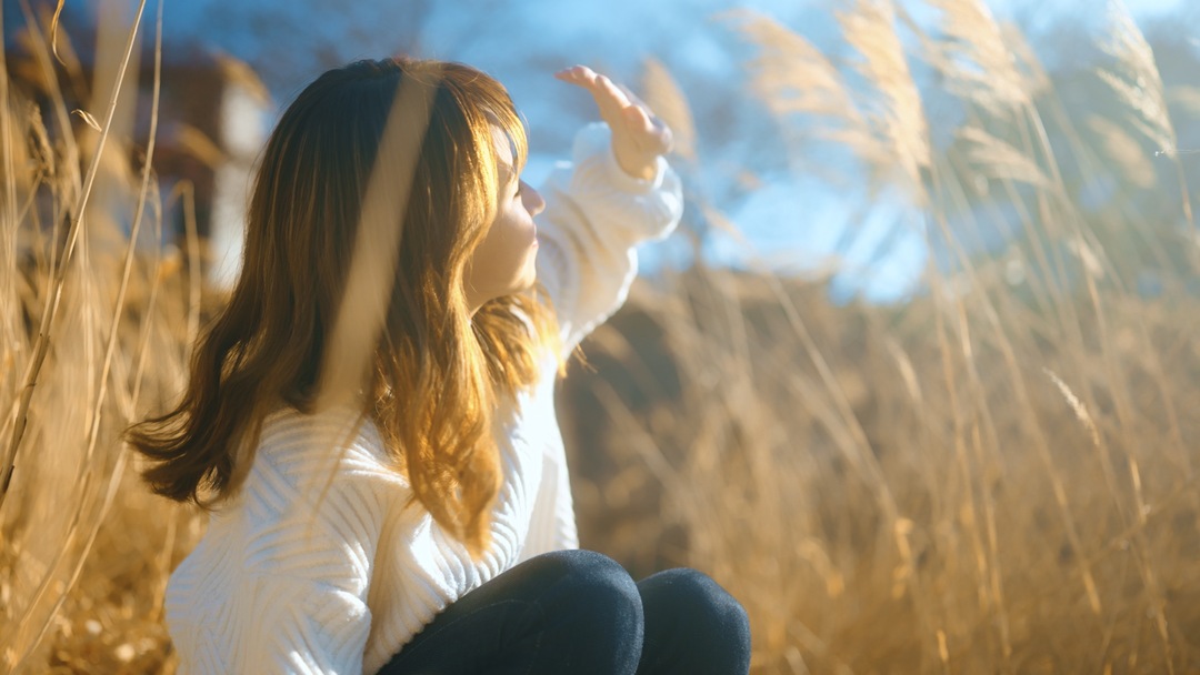 Thumb dc841c80 309e 4387 80eb ce83bd046a00