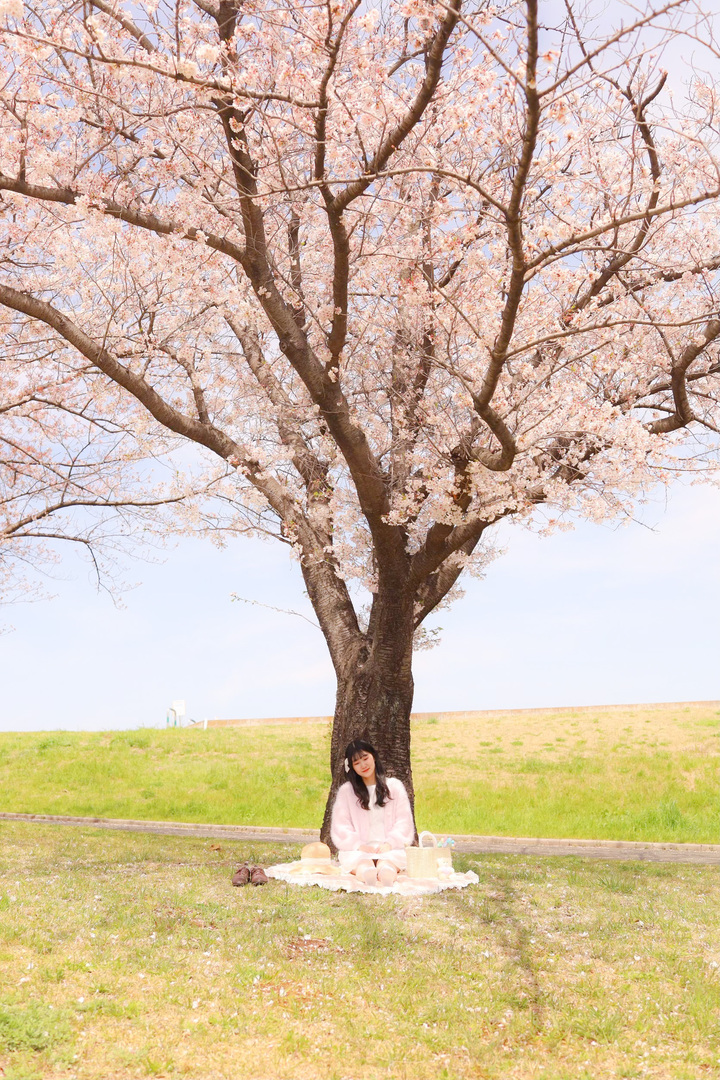 Thumb 642f1699 cf73 4655 af29 a38f738ca02b