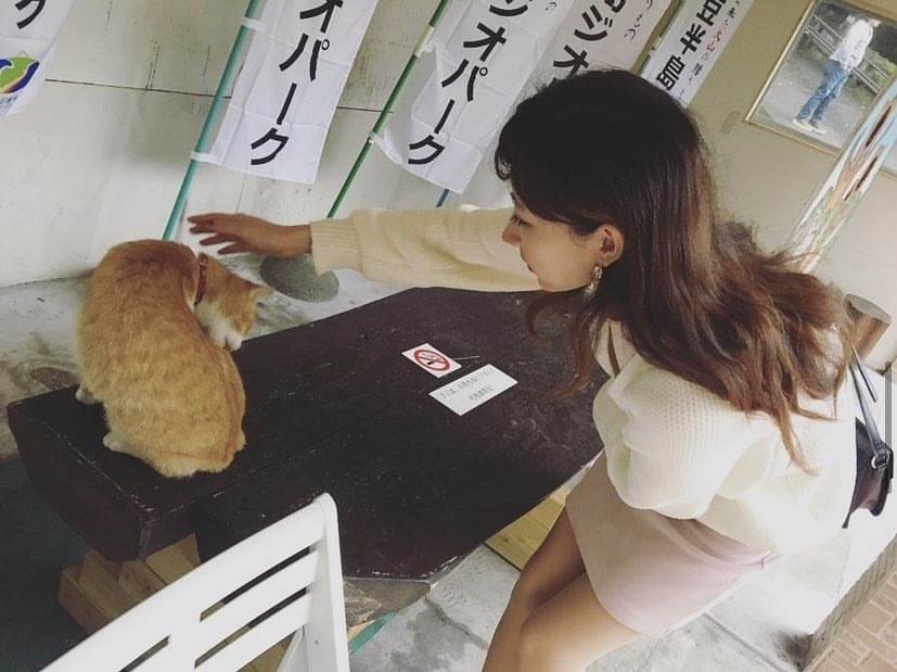 Thumb 466935ca 3f07 4163 9013 78c7be94c338