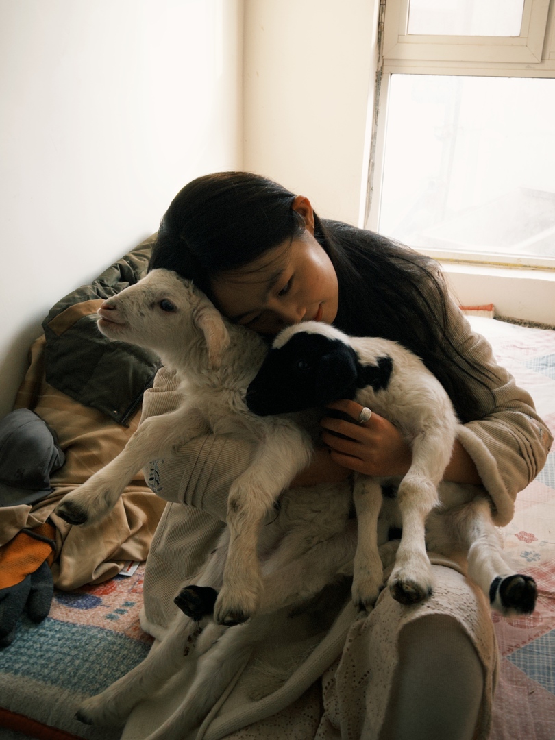 Thumb 4e3c5861 477b 4d5a a7dd 14ab90faed57