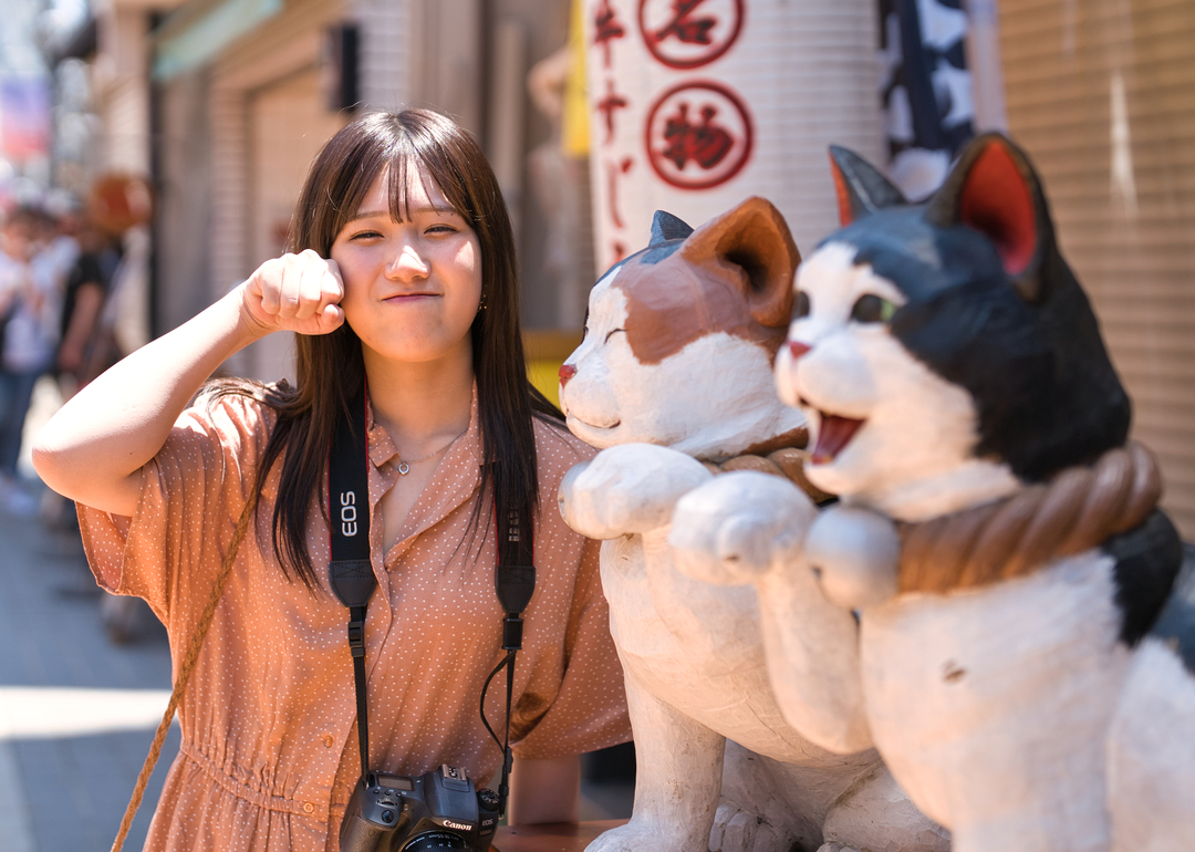 Thumb 4683cf00 4669 4b2c 92b9 ce3c5e60eab9