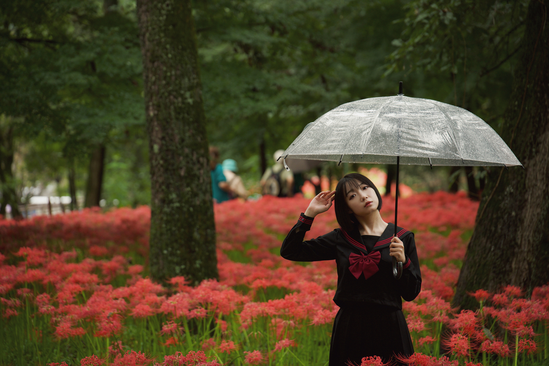 Thumb c871709f 57c6 4d75 b137 45457d24a840