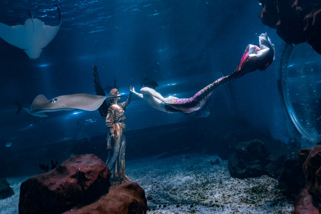 Thumb 247c13d4 ec2f 48b7 8739 cf7d4fd7333f