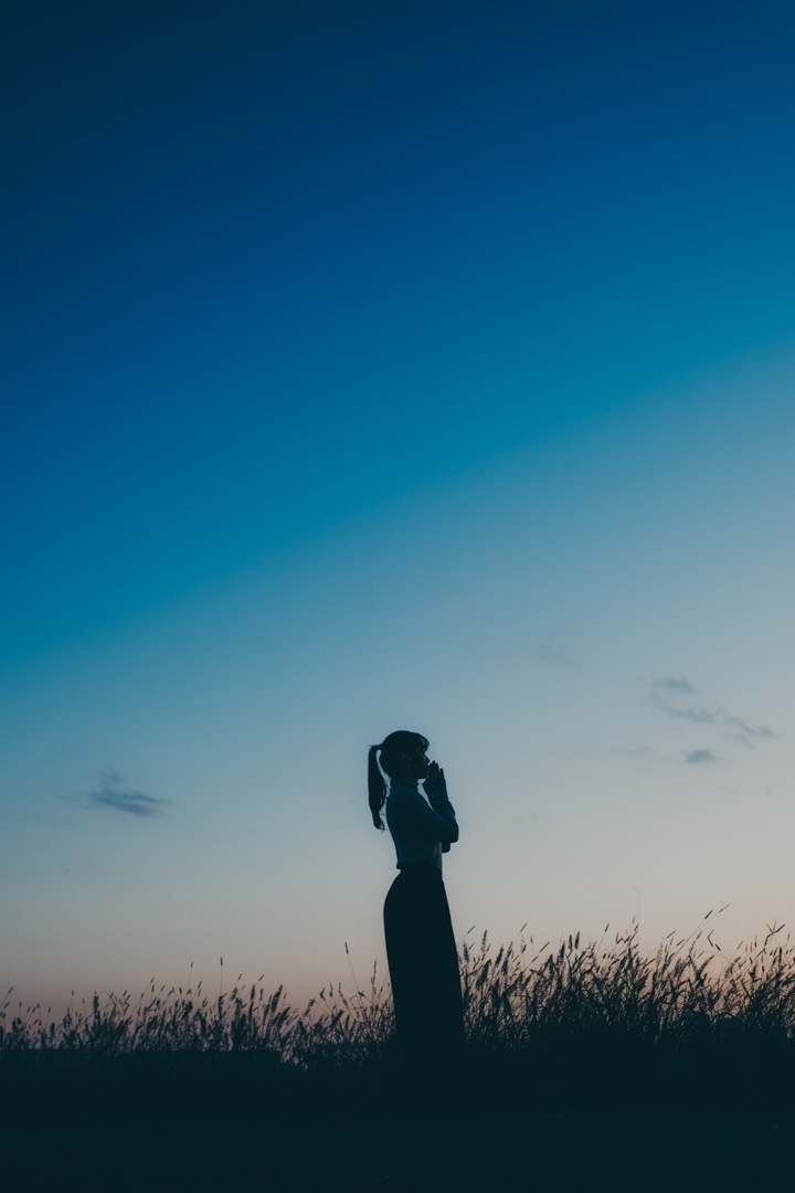 Thumb 67ff74d5 23e9 4d9e a9c0 5118edb7f5b2