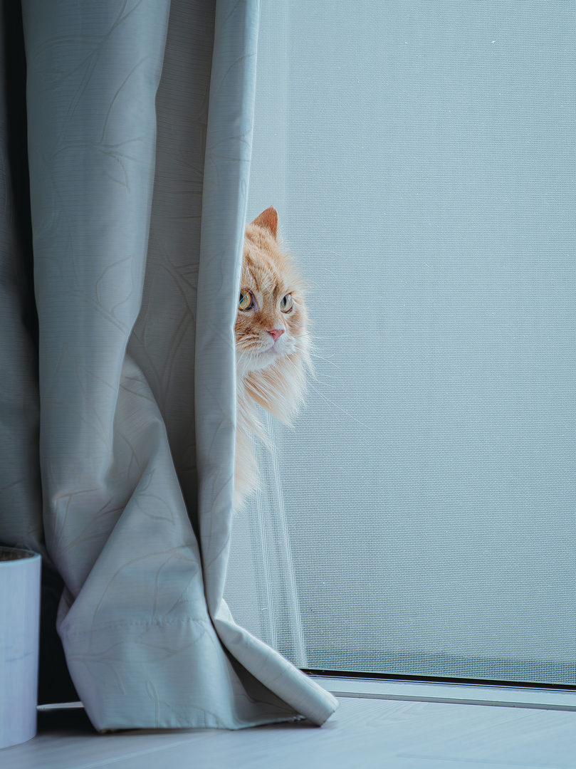 Thumb 3ed03e9c 61ec 4ba0 ab64 de72be6900b7