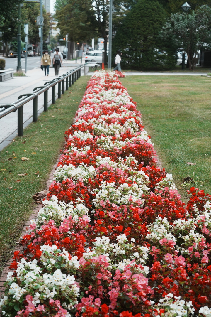 Thumb 5ac1fc44 6e1a 4d0b a943 60ed82386b59