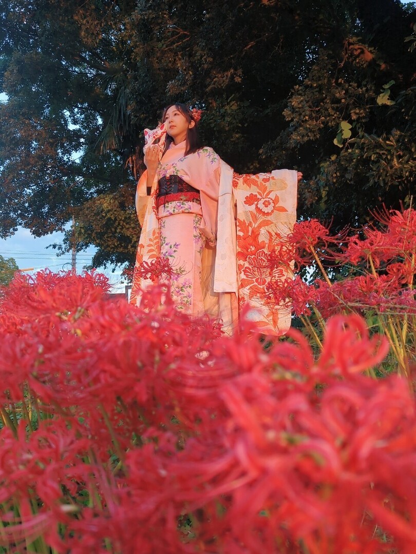 Thumb 21162588 ad27 41e5 9dcd 08dbb8bc3440