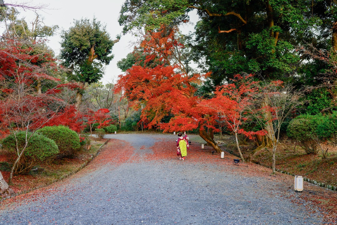 Thumb dabbc17f e1ab 4b03 89c1 f7eac89da39a