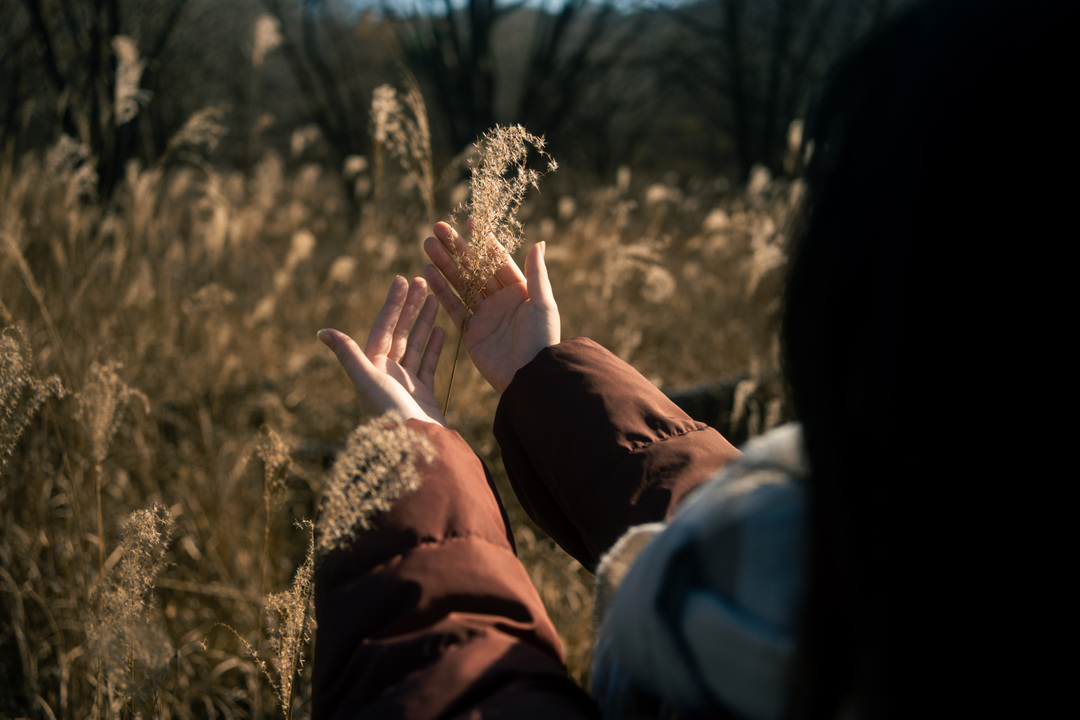 Thumb 83264436 7a5f 4887 a648 1a4fa5578e4f