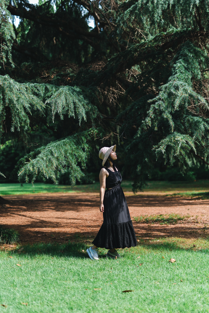 Thumb 15ea90fc f4da 4158 bf8c 5cfaa9ded39c