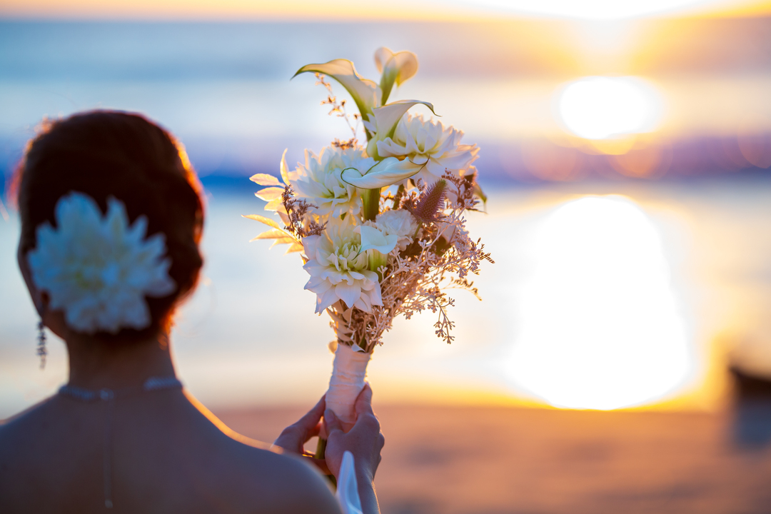 Thumb febecf9a 7f1d 48aa 9a94 b44b81ea243c