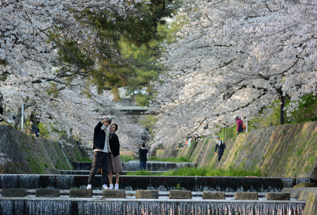 Thumb a7748d13 c1f4 4b38 8dad e3e94b5fcb82