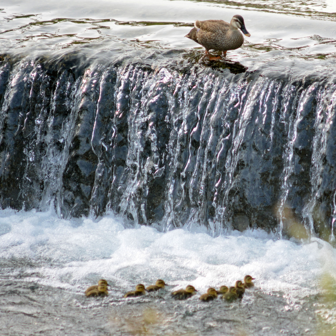 Thumb b01598a9 fd36 4371 87bf a913f235af52