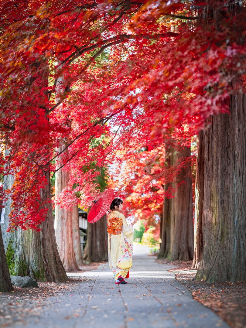 Thumb 5b5958f9 19ab 42f0 823c 4cc0c65f5c2e