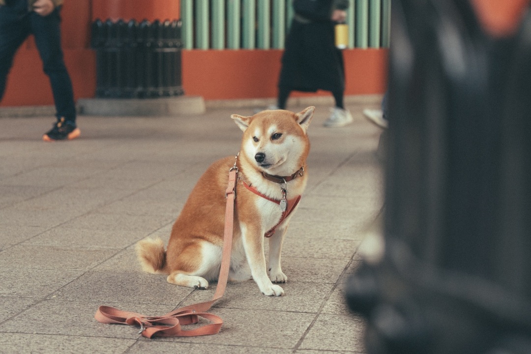 Thumb 582cd6bb 9db1 4b16 980f c4cf4bc87292