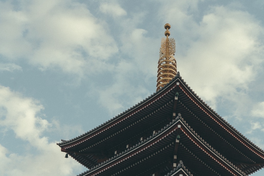 Thumb f96a9bc6 f889 4b52 a441 964f6a25ff13