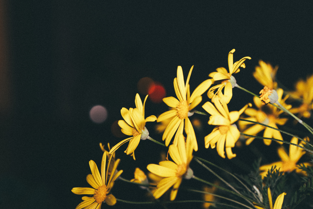 Thumb 69b81f4f e34e 4faa 8d3f 1d607cc9a2b8