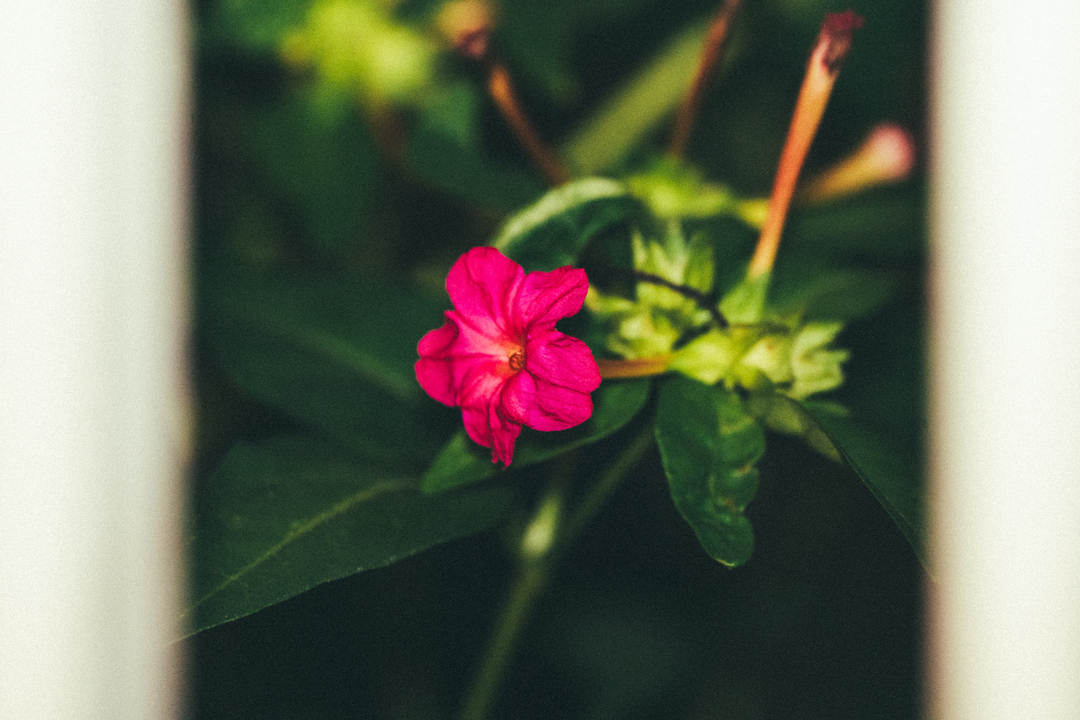 Thumb 3b3f2691 7642 492a 974b 067a1084de2d