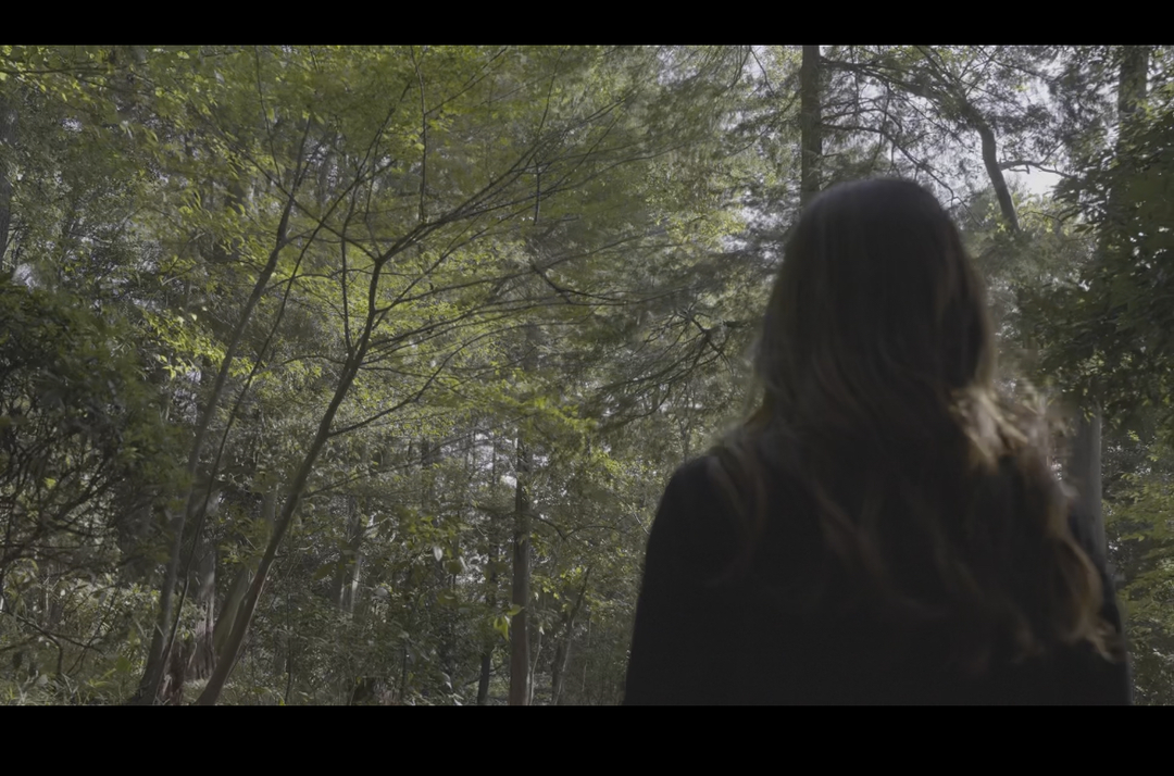 Thumb 33f34f7a 960d 4f70 8fe2 84f431eab3bb