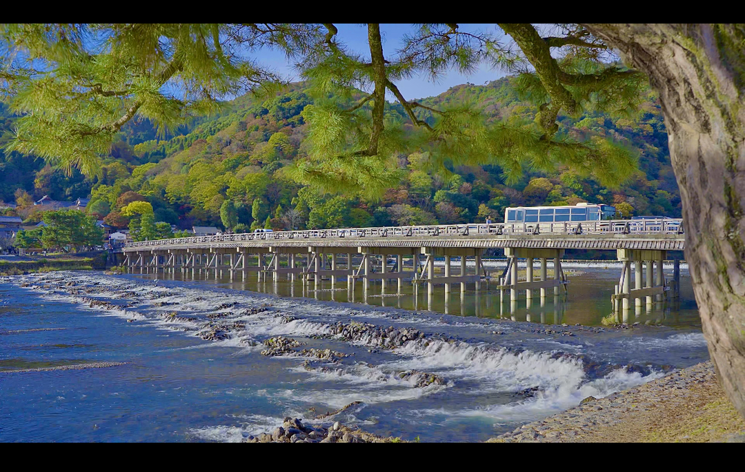 Thumb fb2ae76a 2490 4fc1 b750 24dc8d7a65ff