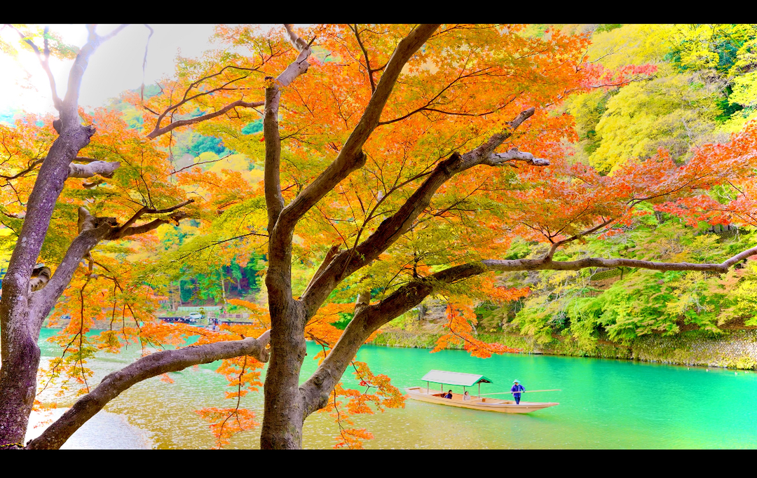 Thumb 2096f6b1 3abb 432a 80f4 31cb1fdf5d49