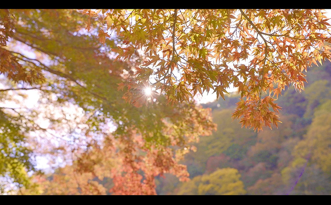 Thumb b7b41980 1a10 44f8 a43e f3f20747cbfa