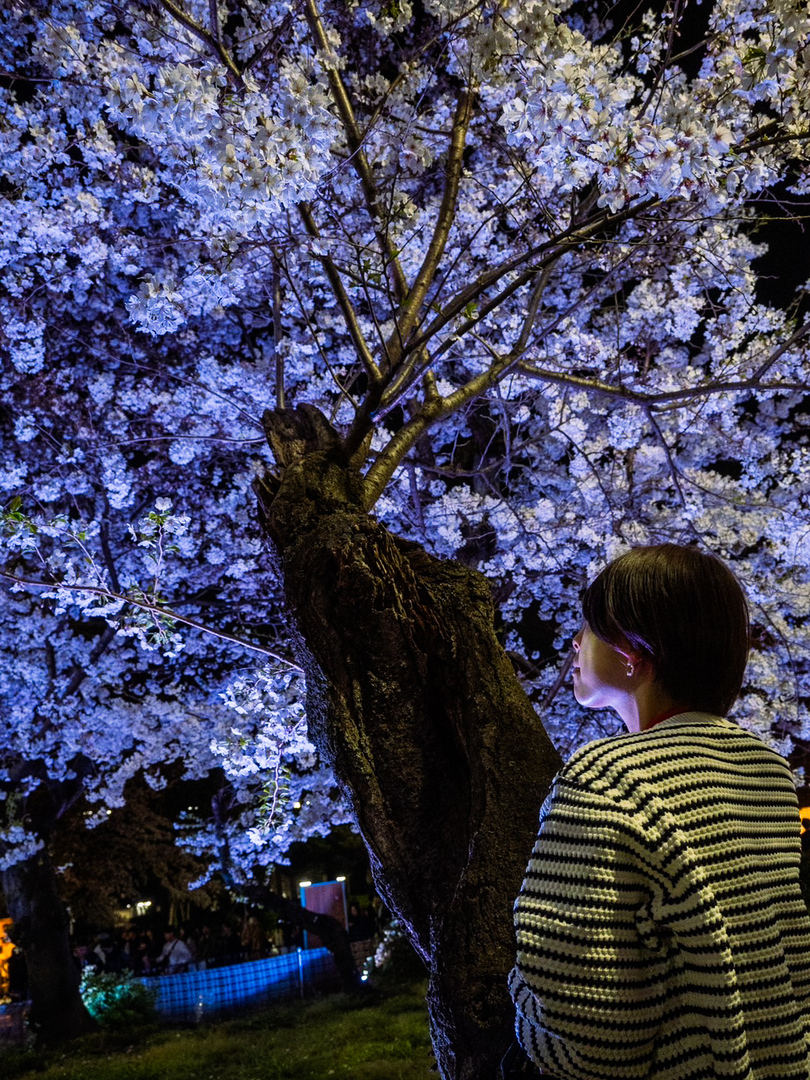 Thumb 91083a15 a150 48d5 bb15 2e63374ceb45