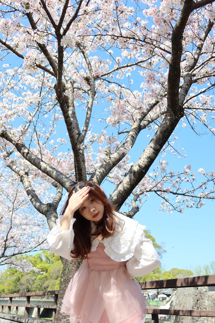 Thumb 5fff1891 cd0b 460e 8148 14df8f87bf6f