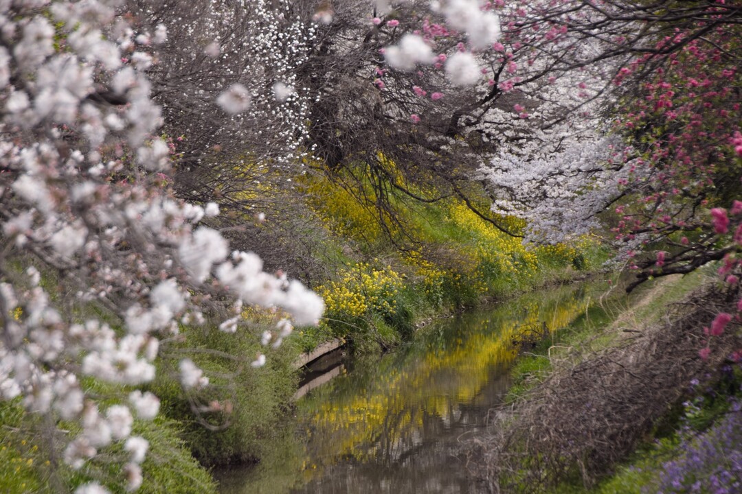 Thumb 94c72247 c8d5 49c4 9c4b d05c55ac9545