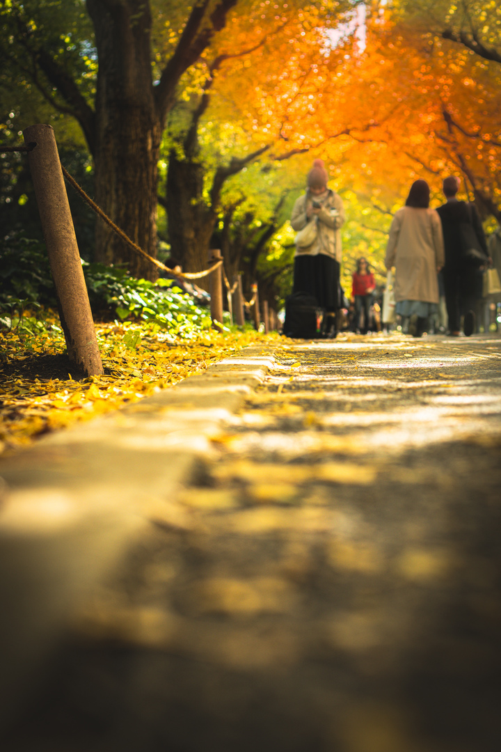 Thumb 13dc2511 ea71 4f8f 9668 d1c4c4526339