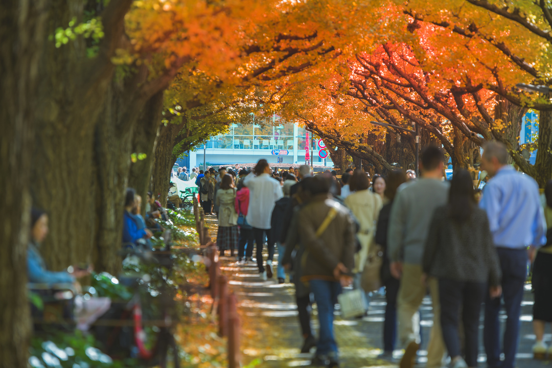 Thumb bcf18f7f 8b32 46ce a86e d5b468e64971