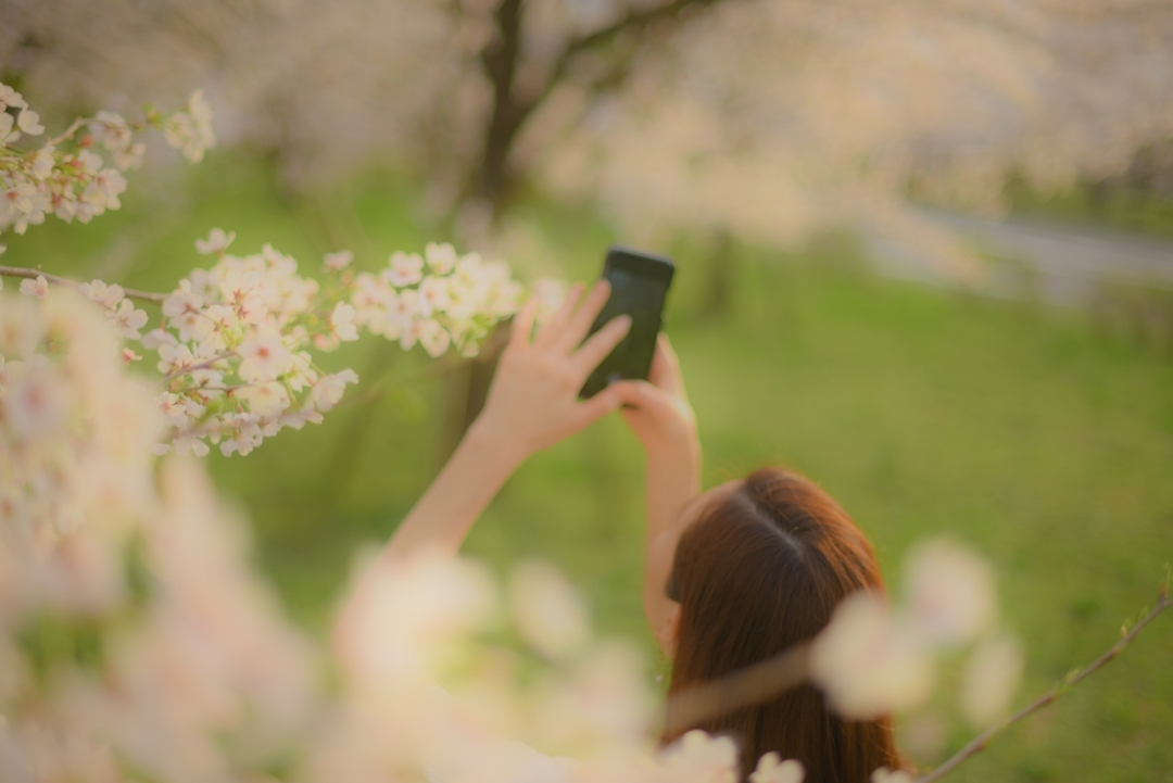 Thumb cc276eb1 b3e9 4bcc 937a 17ae8a14c492