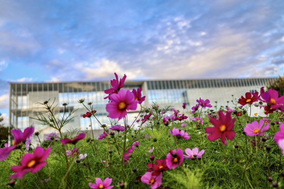 Thumb d000ffe0 a0a7 4747 b6a1 5b0bef1c41b8