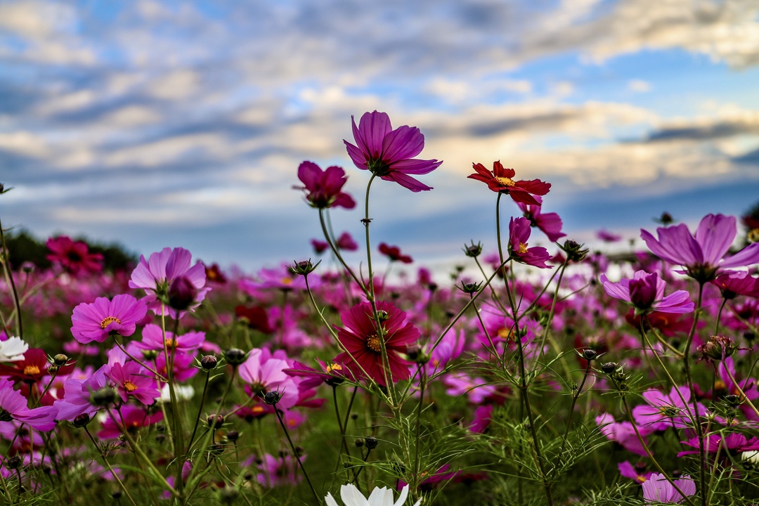 Thumb 8030e27b d382 41c5 817a abb64fc6b53a