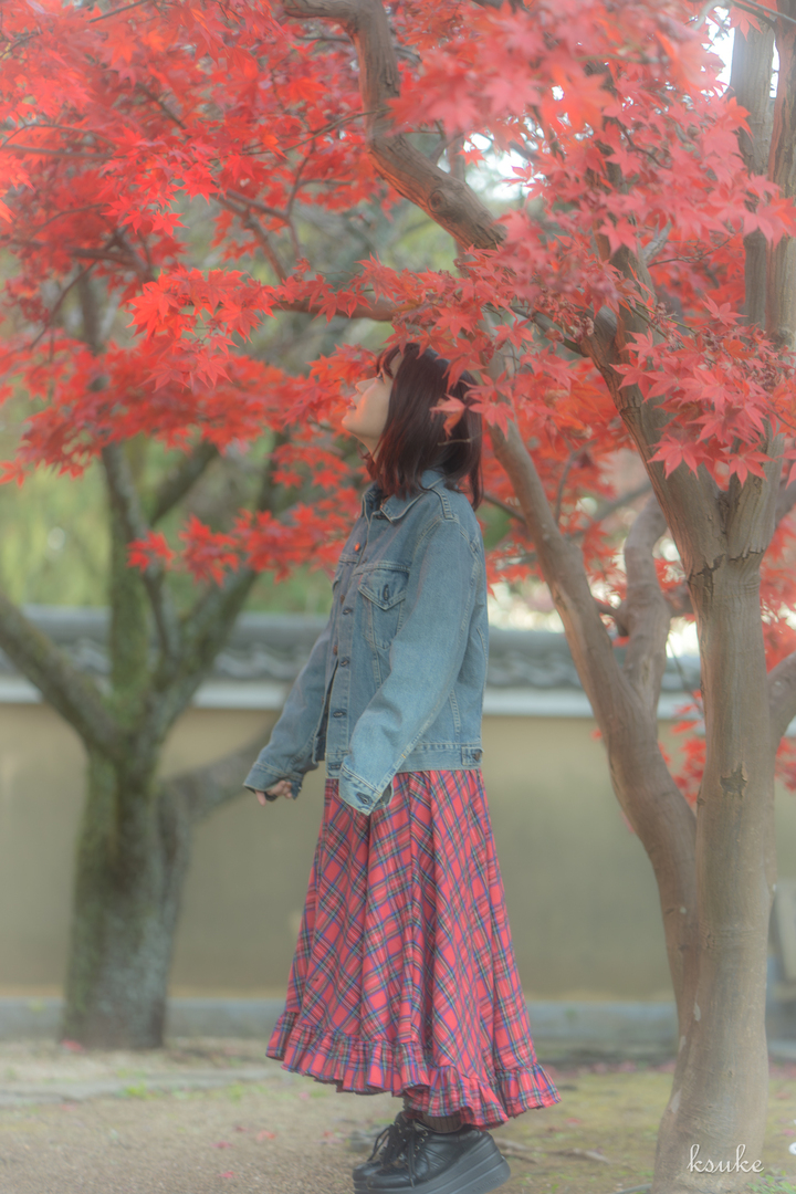 Thumb 5a47277f 542c 4729 b583 bda51a349537