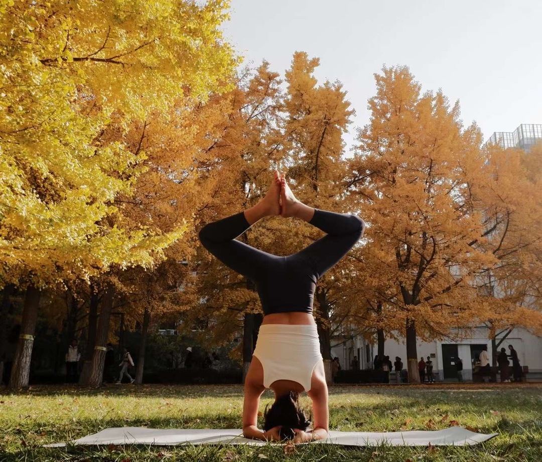 Thumb b1f97994 ebd0 4b2e 861c e7f18cd775fe