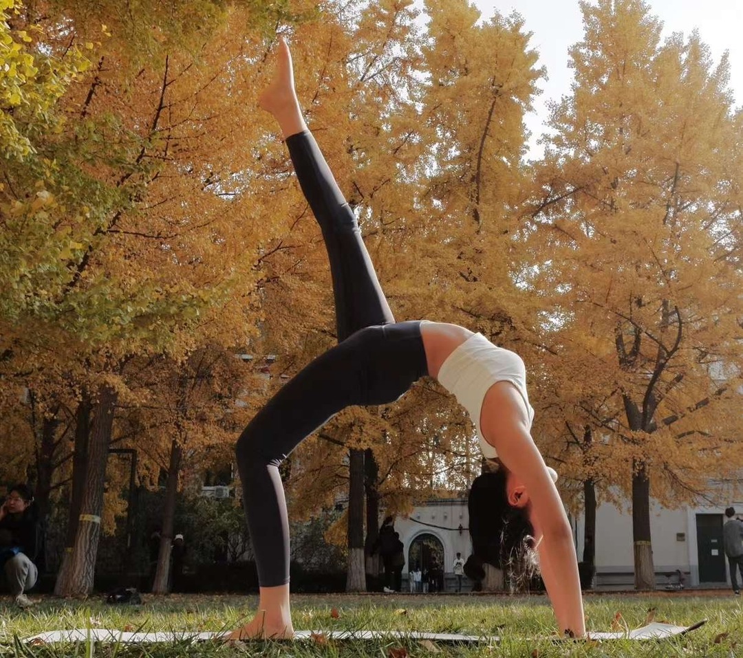 Thumb d5d4e26f a68b 44f2 81ee cd406cea6e77